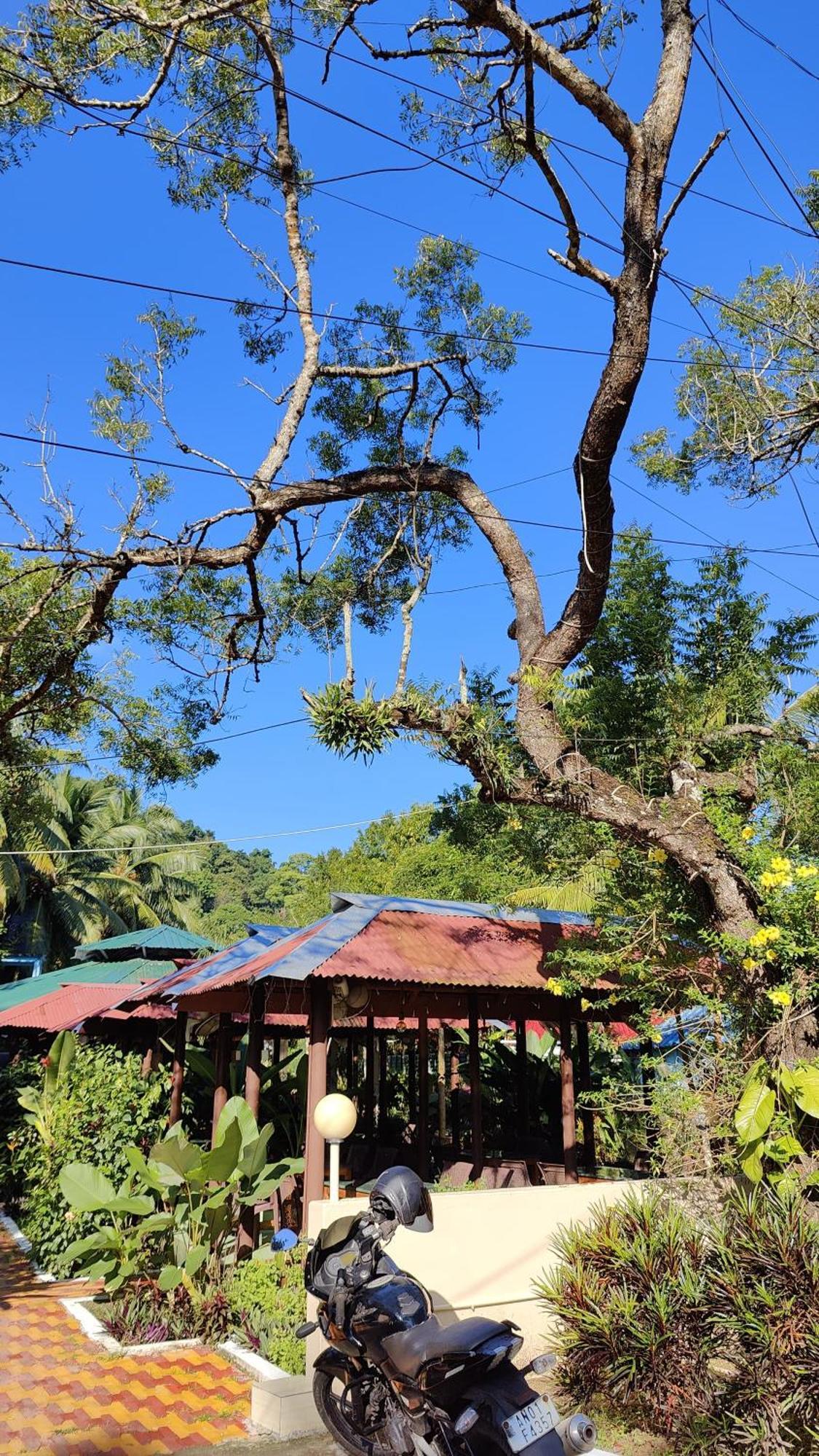 Nancowry Resort Govind Nagar Dış mekan fotoğraf